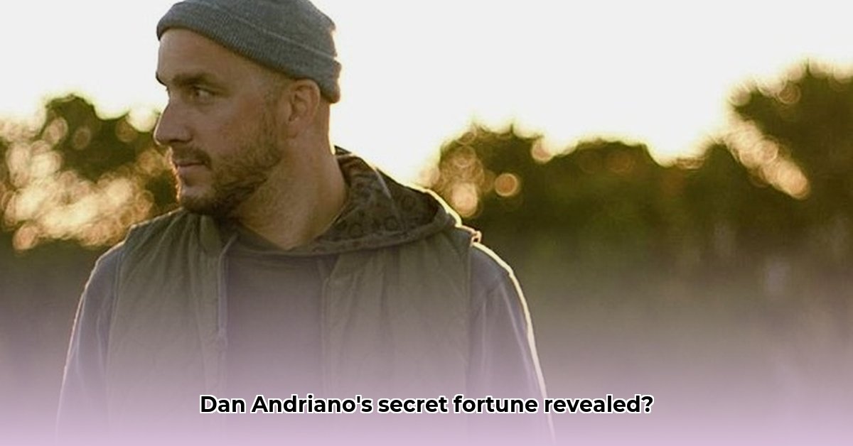 dan-andriano-net-worth